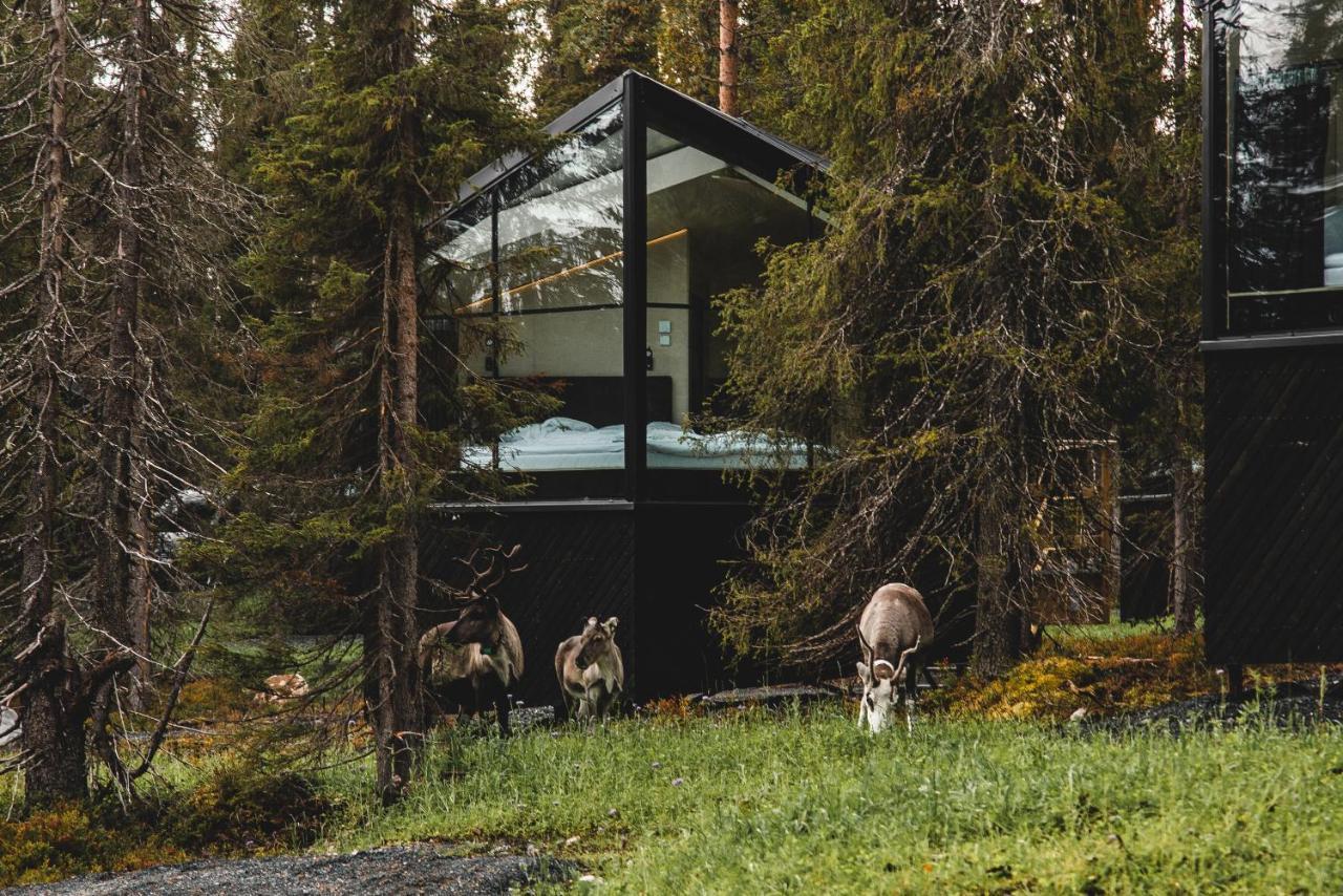 Magical Pond Nature Igloos Rukatunturi Exterior foto